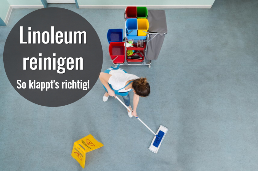 linoleum reinigen wischen